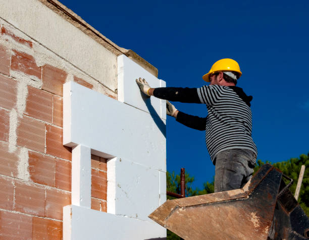 Best Geographic-Specific Insulation Services in Brushy Creek, TX