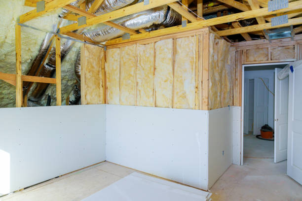 Best Spray Foam Insulation in Brushy Creek, TX