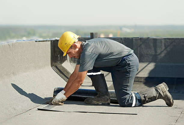 Best Cellulose Insulation in Brushy Creek, TX