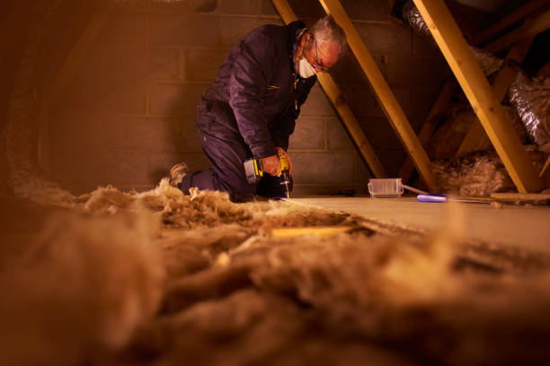 Best Blown-in Insulation in Brushy Creek, TX